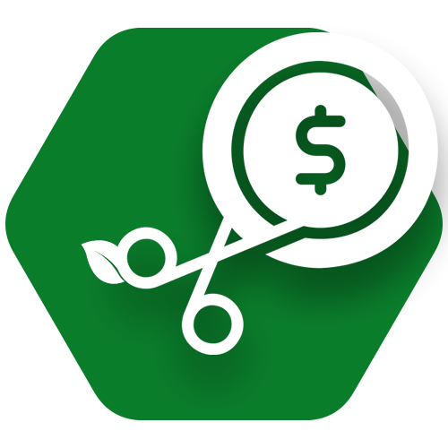 Cost Optimization