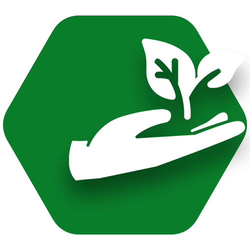 Sustainability Roadmap